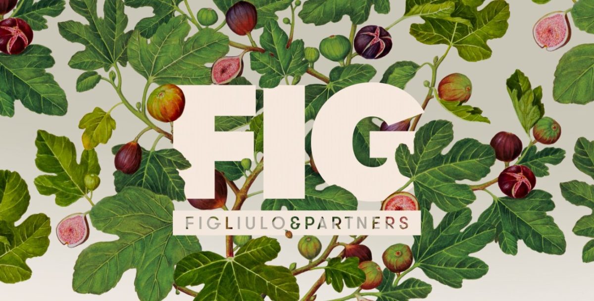 FIG logo